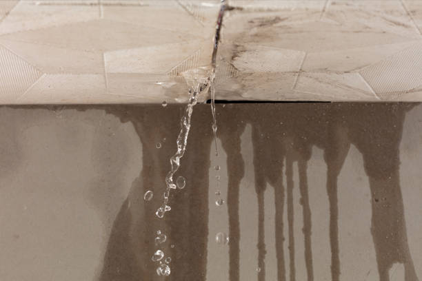 Professional Flood Damage Cleanup technician working in Mina, NV